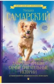 Лабрадор Трисон. Самые трогательные истории
