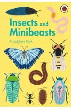 Ladybird Book. Insects and Minibeasts
