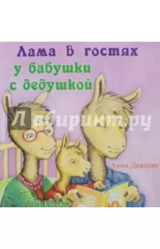 Лама в гостях у бабушки с дедушкой