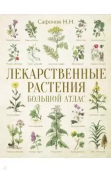 Лекарственные растения. Большой атлас