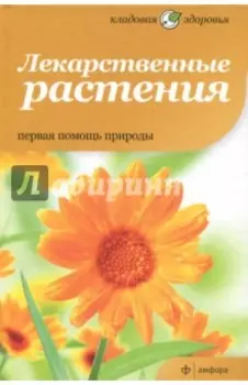 Лекарственные растения. Первая помощь природы
