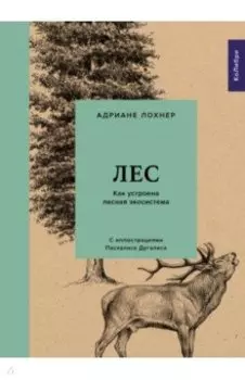 Лес. Как устроена лесная экосистема