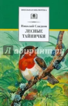 Лесные тайнички