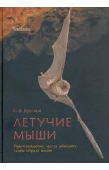 Летучие мыши. Происхождение, места обитания