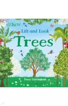 Lift and Look Trees