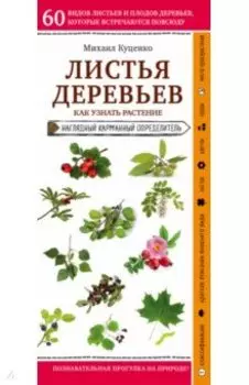 Листья деревьев. Как узнать растение. Наглядный карманный справочник