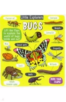 Little Explorers. Bugs