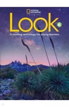 Look. Level 6. Reading Anthology