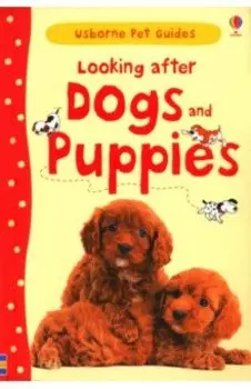 Looking after Dogs and Puppies