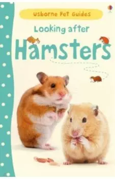 Looking after Hamsters