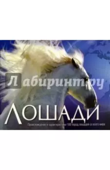 Лошади