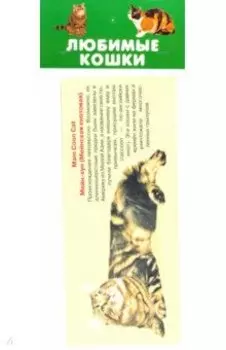 Любимые кошки. 25 карточек