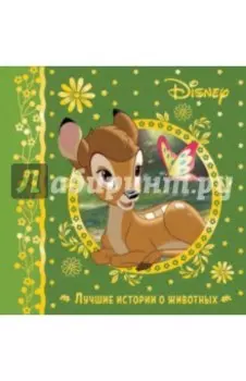 Лучшие истории о животных