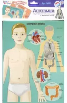 Магнитные истории. Анатомия (03820)
