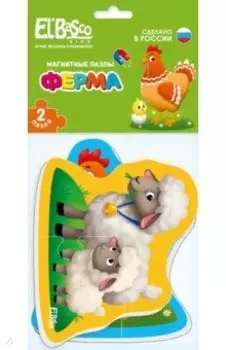 Магнитный пазл Ферма