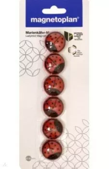 Магниты Божья коровка, 6 штук