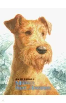 Майкл, брат Джерри