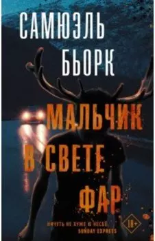 Мальчик в свете фар