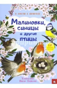 Малиновки, синицы и другие птицы