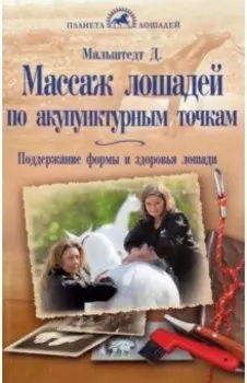 Массаж лошадей по акупунктурным точкам. Поддержание формы и здоровья лошади