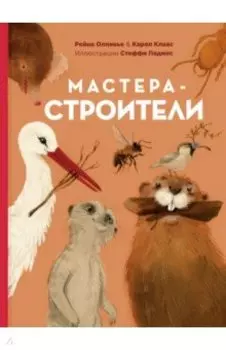 Мастера-строители