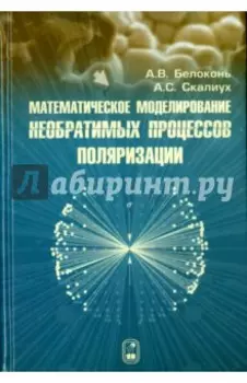 Математическое моделирование необратимых процессов поляризации
