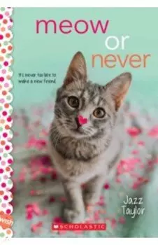 Meow or Never