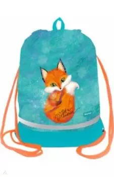 Мешок для обуви Little dreamer