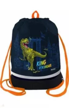 Мешок для обуви T-Rex style