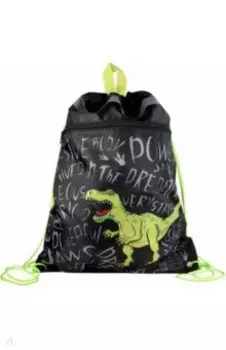 Мешок для сменной обуви Дино паттерн