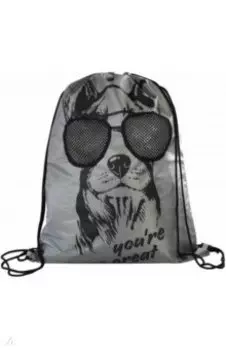 Мешок для сменной обуви Собака в очках