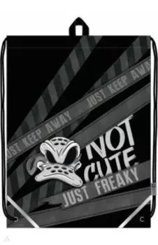 Мешок для сменной обуви Утка-фрик