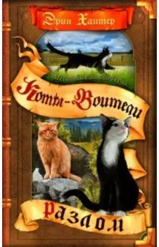 Месть Звездного Луча. Разлом