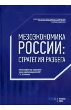 Мезоэкономика России. Стратегия разбега. Монография