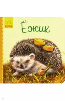 Милые зверята. Ежик