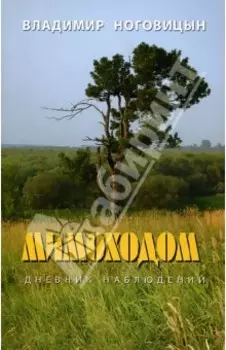 Мимоходом. Дневник наблюдений