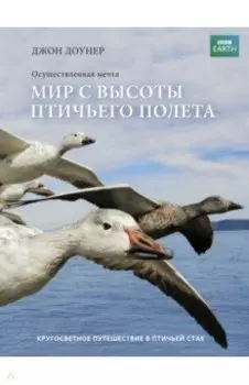 Мир с высоты птичьего полета