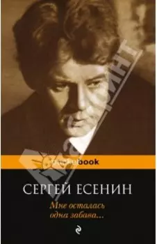 Мне осталась одна забава... Стихотворения