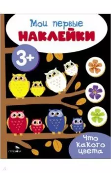 Мои первые наклейки 3+ Что какого цвета