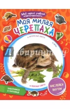 Моя милая черепаха
