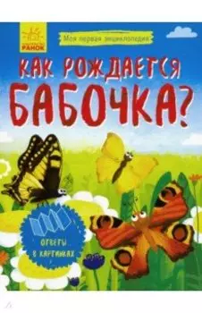 Моя первая энциклопедия. Как рождается бабочка