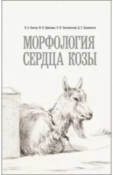 Морфология сердца козы. Монография