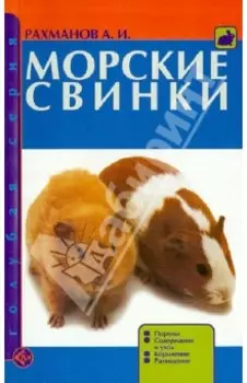 Морские свинки. Породы. Содержание и уход. Кормление. Разведение
