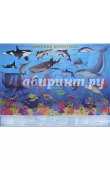 Морские животные. Настольное издание