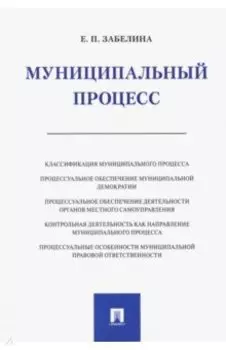 Муниципальный процесс