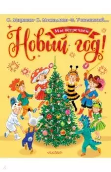 Мы встречаем Новый год!