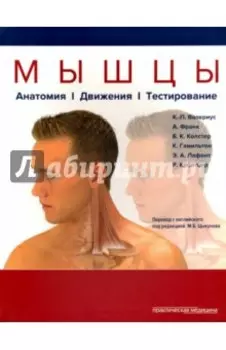 Мышцы. Анатомия. Движения. Тестирование