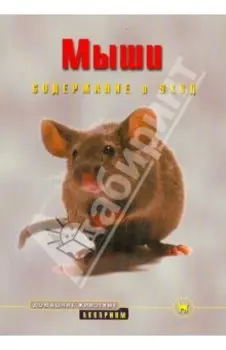 Мыши. Содержание и уход
