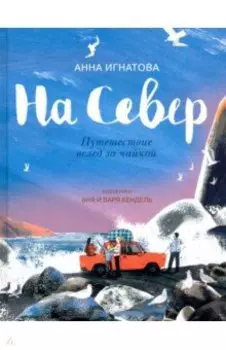 На Север. Путешествие вслед за чайкой