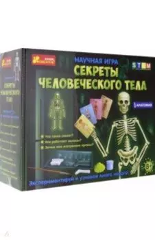 Набор "Анатомия. Скелет человека"